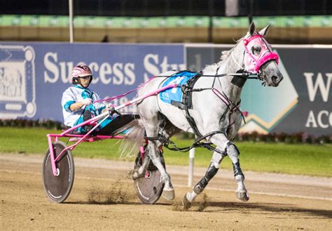 australian harness racing